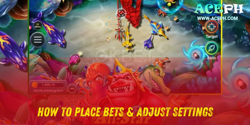 How to Place Bets & Adjust Settings